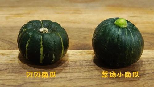 国产南瓜 视频,营养美味，健康生活新选择