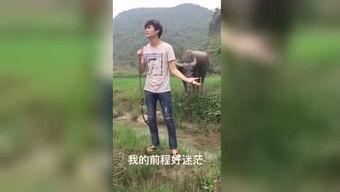 国产极品福利视频在线,揭秘国内影视盛宴背后的精彩瞬间