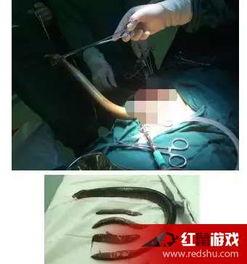 国产网红黄鳝直播视频,揭秘网红背后的真实生活