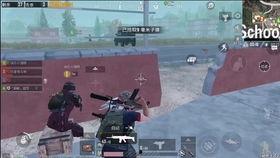 国产主播吃鸡视频,热血竞技，畅享游戏盛宴