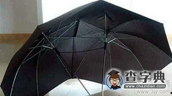 国产雨伞搞笑视频下载,国产搞笑视频带你笑翻雨天