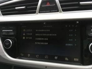 国产车售后视频播放,视频揭秘无忧养护之旅